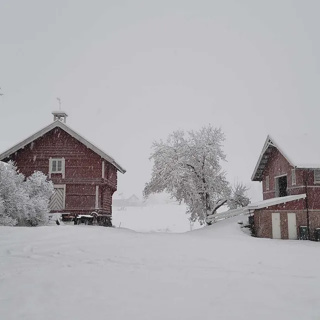 Snøvær dekker gårdstun med røde låver og snøtunge trær.